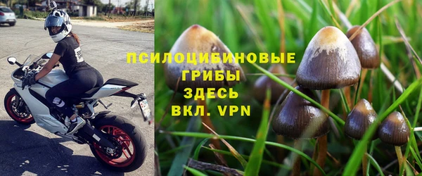 гидра Алзамай