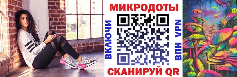 omg как зайти  Нижние Серги  Галлюциногенные грибы Psilocybine cubensis 